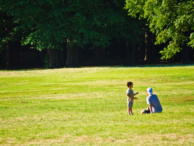 べックセントラルが進める保険業