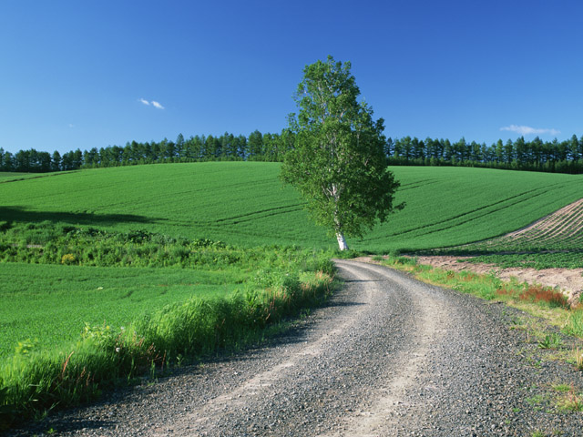 べックセントラルが進める地方創生