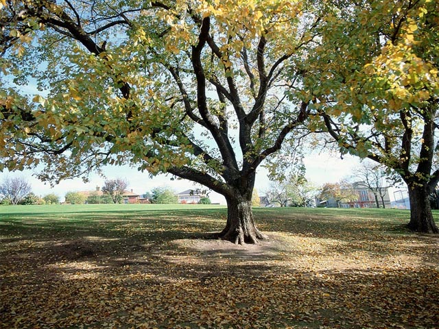べックセントラルが進める地方創生