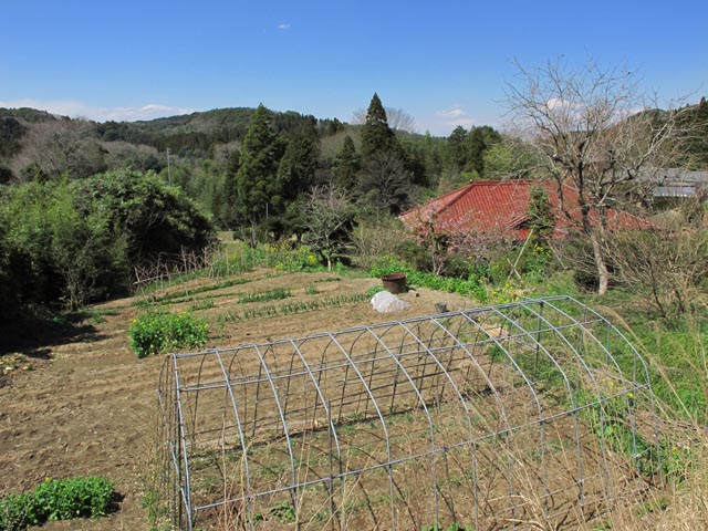 べックセントラルが進める地方創生